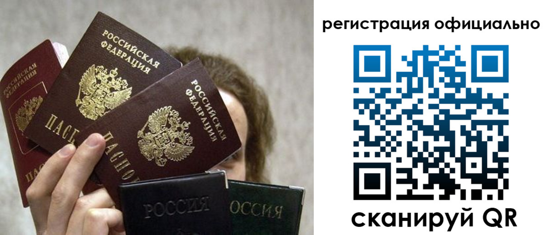 где прописаться в Вязниках